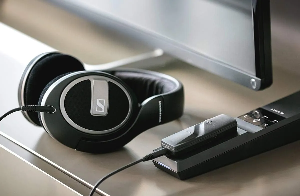 Imagen de los Sennheiser Flex 5000